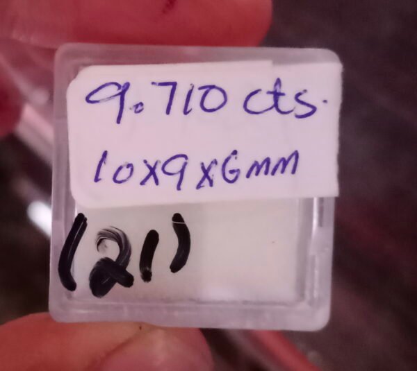 02-06-21-21-11.jpg