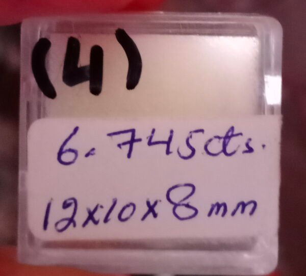 02-06-21-4-6.jpg
