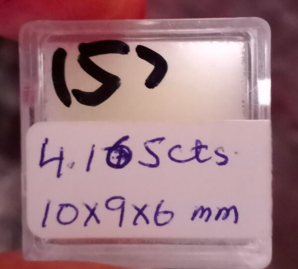 02-06-21-5-8.jpg
