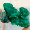 MSPM-Emerald-101-M-DWR2-7.jpg
