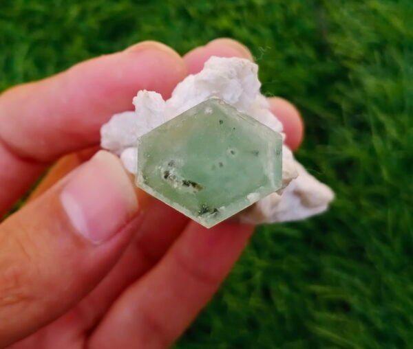 MSSP-Green-Beryl-81-M-DWR2-12.jpg