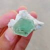 MSSP-Green-Beryl-81-M-DWR2-13.jpg