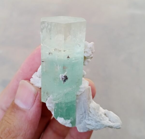 MSSP-Green-Beryl-81-M-DWR2-14-scaled-1.jpg