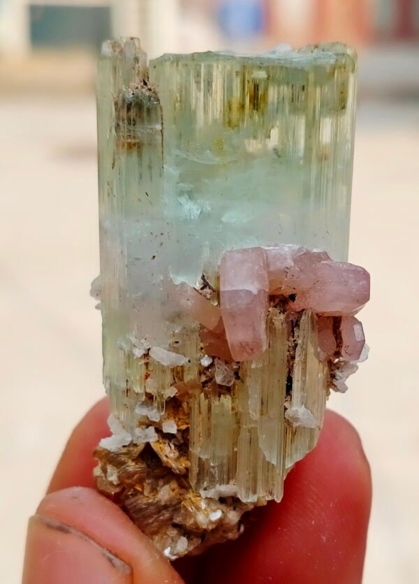 MSSP-Green-Beryl-83-M-DWR2-8.jpg