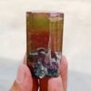 MSSP-Tourmaline-25-M-DWR1-2-scaled-1.jpg