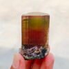 MSSP-Tourmaline-25-M-DWR1-3.jpg
