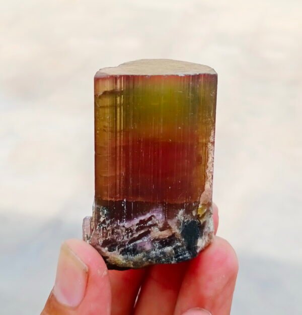 MSSP-Tourmaline-25-M-DWR1-3.jpg