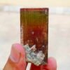 MSSP-Tourmaline-25-M-DWR1-4.jpg