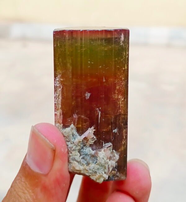 MSSP-Tourmaline-25-M-DWR1-4.jpg