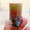 MSSP-Tourmaline-25-M-DWR1-7-scaled-1.jpg