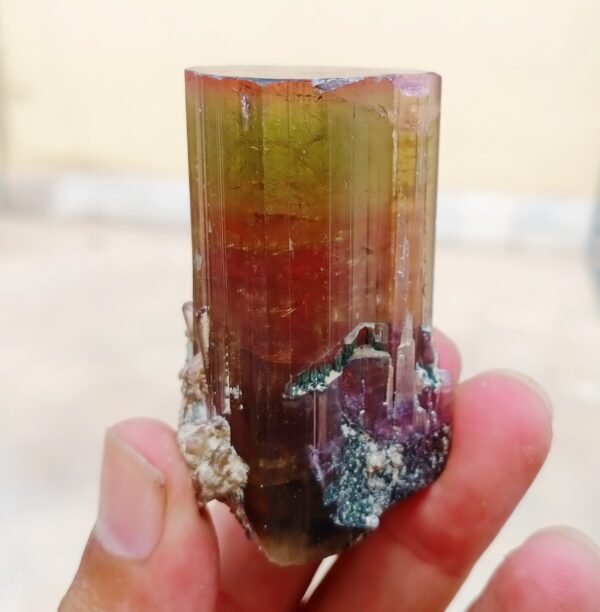 MSSP-Tourmaline-25-M-DWR1-7-scaled-1.jpg