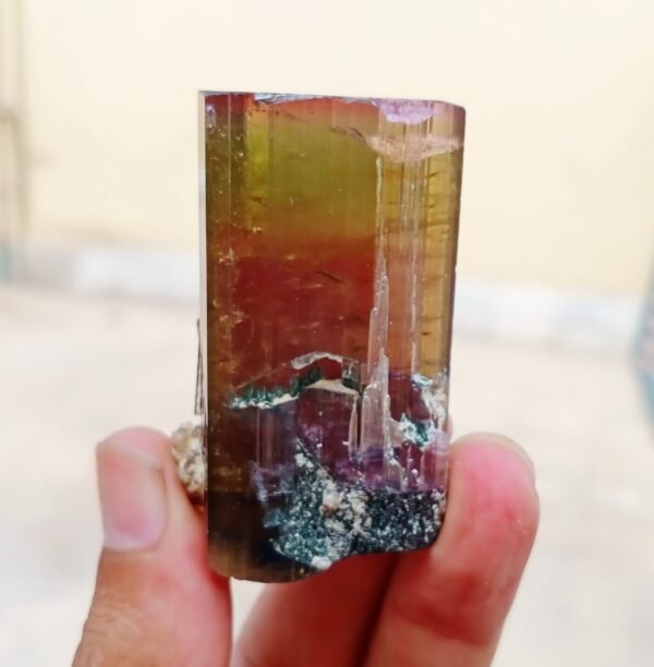 MSSP-Tourmaline-25-M-DWR1-8-scaled-1.jpg