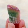 MSSP-Tourmaline-26-M-DWR1-1.jpg