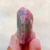 MSSP-Tourmaline-26-M-DWR1-2.jpg