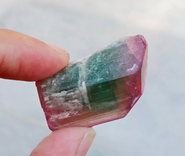 MSSP-Tourmaline-26-M-DWR1-5.jpg
