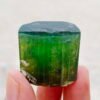 MSSP-Tourmaline-94-M-DWR2-1.jpg