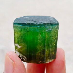 MSSP-Tourmaline-94-M-DWR2-1.jpg