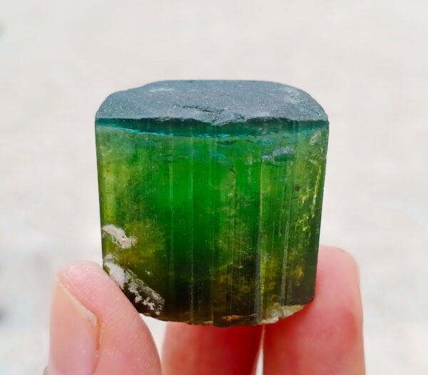 MSSP-Tourmaline-94-M-DWR2-1.jpg