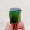 MSSP-Tourmaline-94-M-DWR2-2-scaled-1.jpg