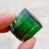 MSSP-Tourmaline-94-M-DWR2-5.jpg