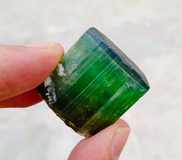 MSSP-Tourmaline-94-M-DWR2-5.jpg