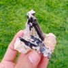 MSSP-Tourmaline-97-M-DWR2-11.jpg