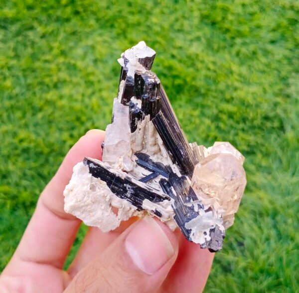 MSSP-Tourmaline-97-M-DWR2-11.jpg