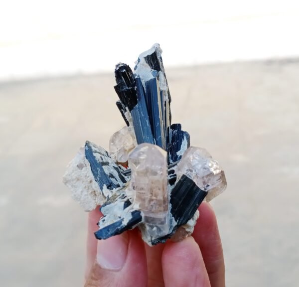 MSSP-Tourmaline-97-M-DWR2-2-scaled-1.jpg