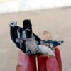 MSSP-Tourmaline-97-M-DWR2-4.jpg