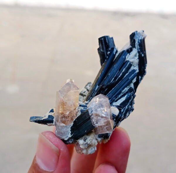 MSSP-Tourmaline-97-M-DWR2-6.jpg