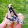 MSSP-Tourmaline-97-M-DWR2-8.jpg
