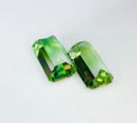 IGI Certified 5.37 Cts Natural Bi Color Tourmaline Pair Gemstone - Image 6