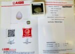 AIGS Certified 33.09 Cts Natural yellow Opal Cabochon - Image 10