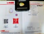 AIGSCertified 49.60 Cts Natural Yellow Opal Cabochon - Image 3